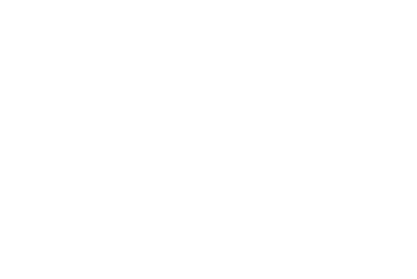 Plan du festival